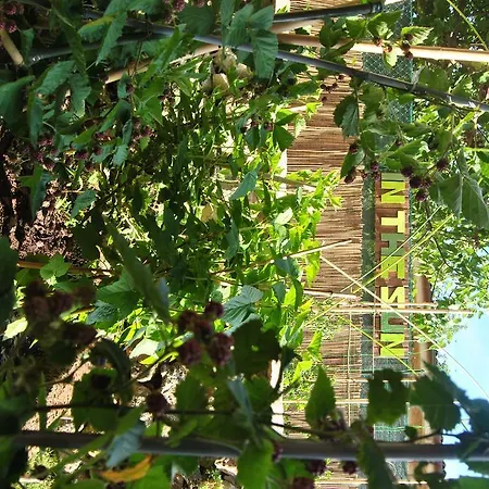 B&B In The Sun